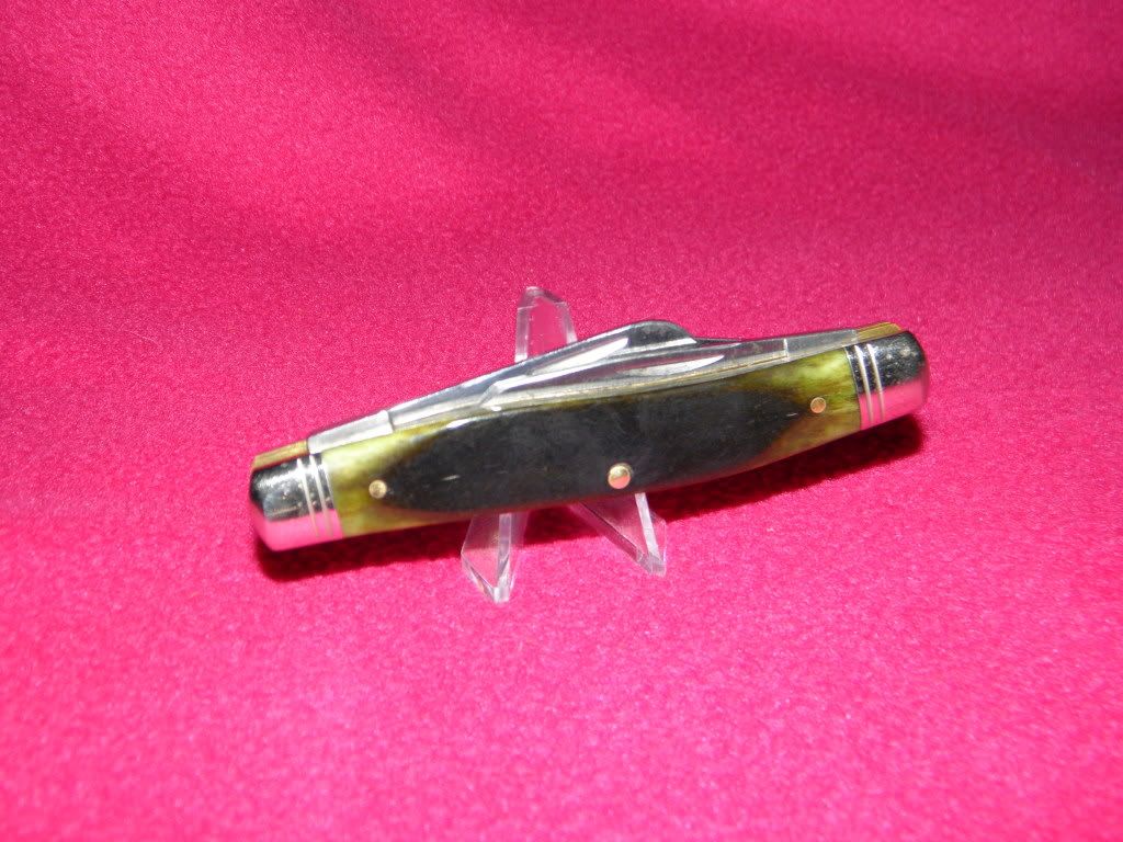 yellowjacketandgreenboneschrade030.jpg