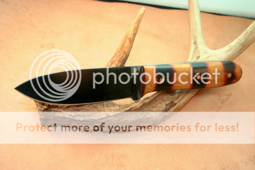 IMG_4261_1_zpsf406c8c6.jpg