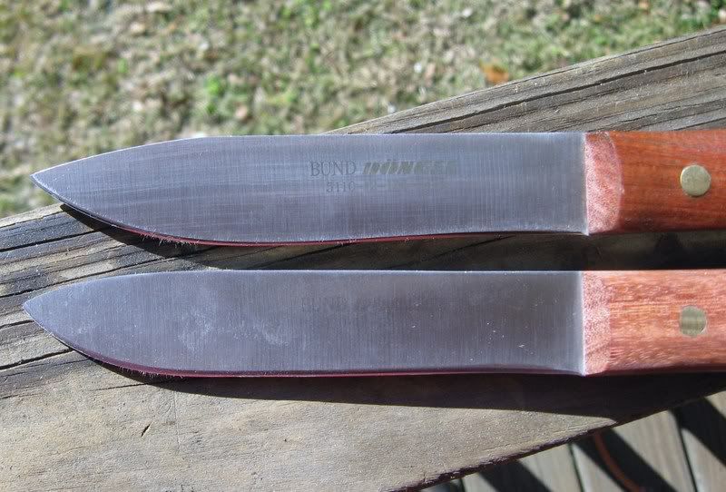 Donges003.jpg