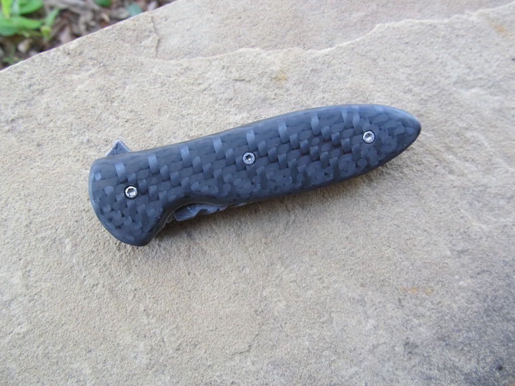 CarbonfiberDamfolder060.jpg