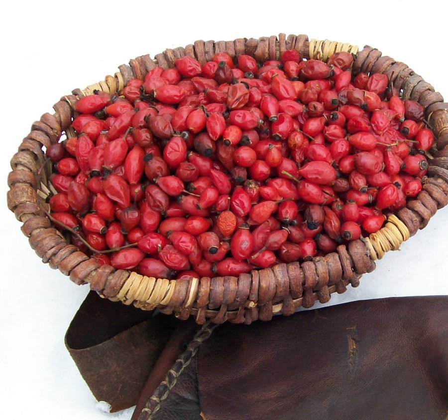 rosehip2.jpg