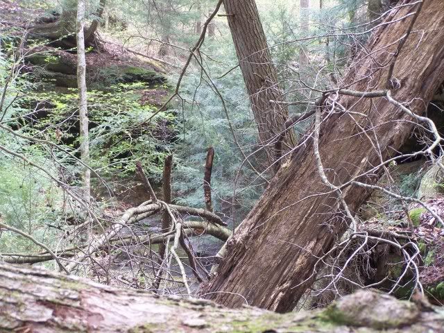 100_3060.jpg