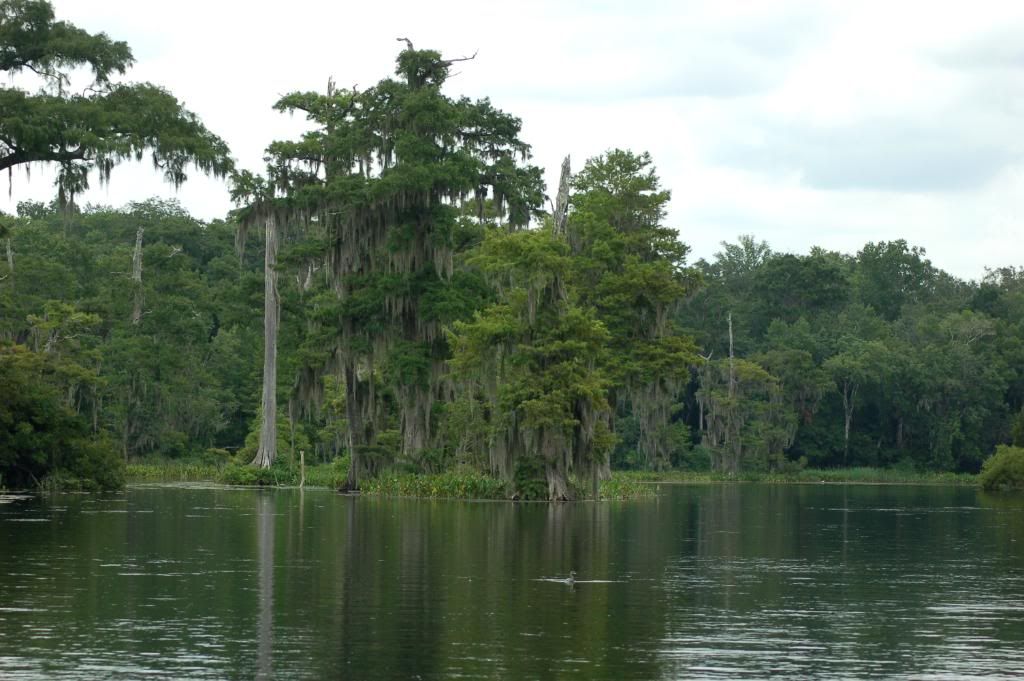 DSC_0040.jpg
