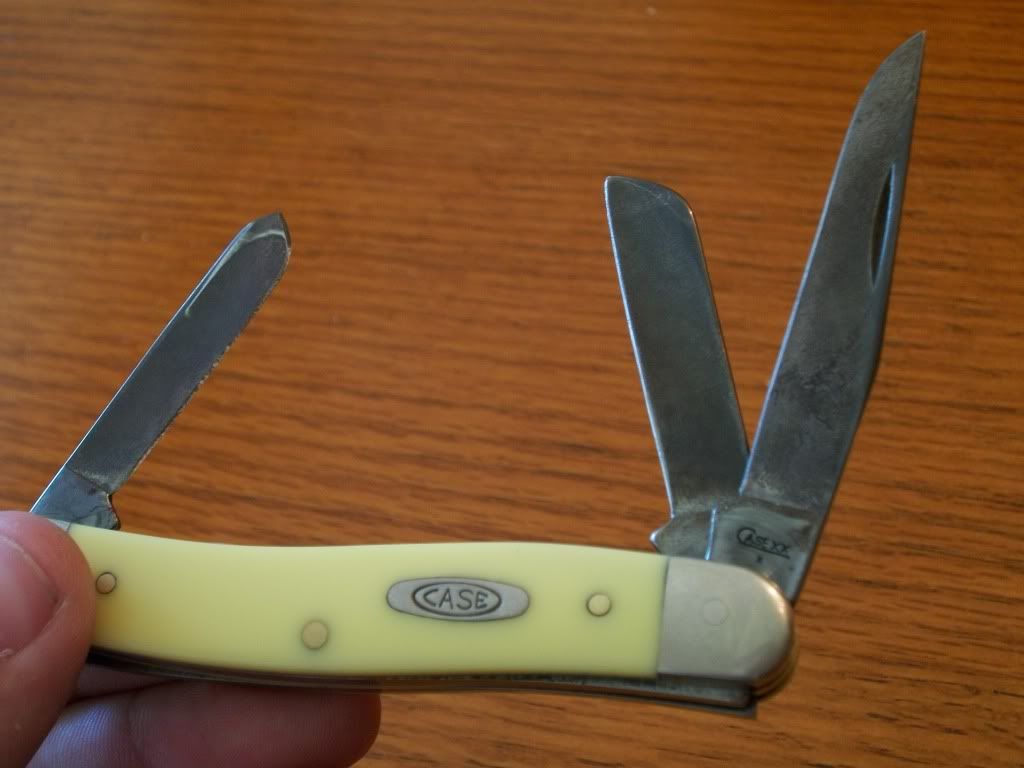 100_0568.jpg