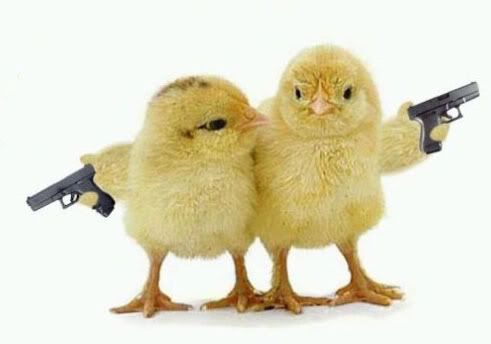 82011-now-s-sexy-chicks_with_guns.jpg