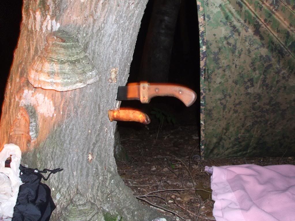 DSCF1407.jpg