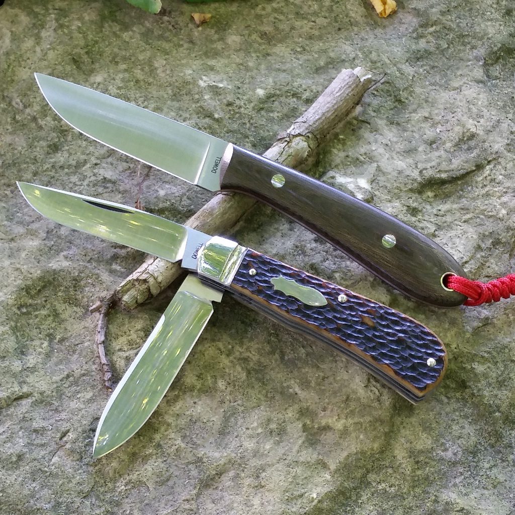 d81qOkwh.jpg