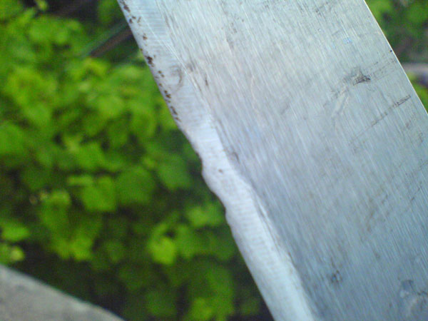 DSC00877.jpg