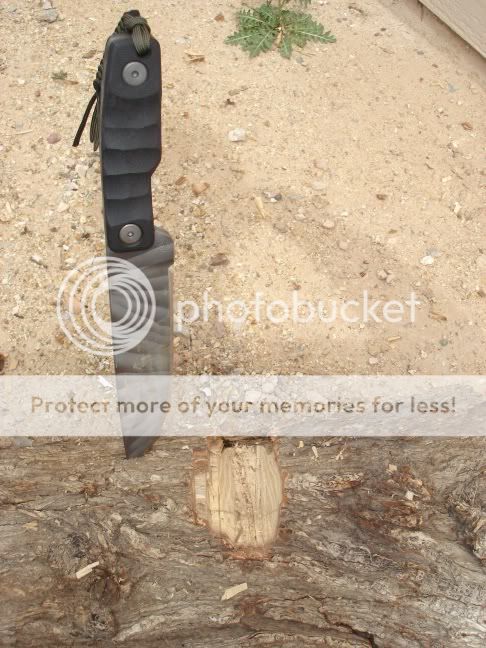 TridentKnives006.jpg