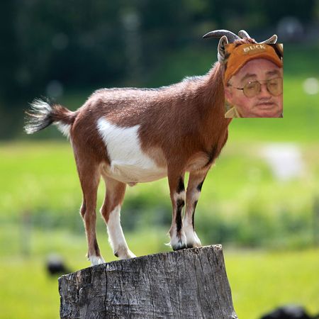 goat_edited-4.jpg