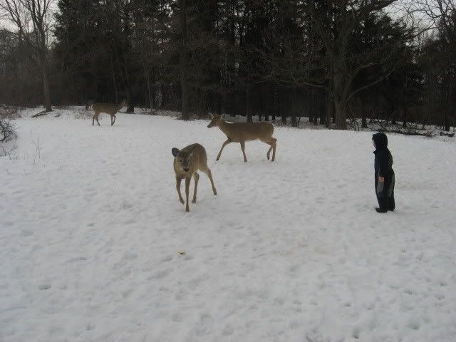 march29007.jpg