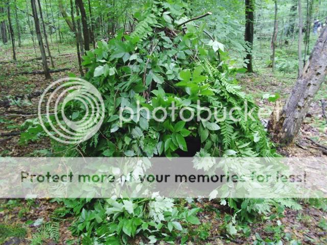 PICT0369.jpg