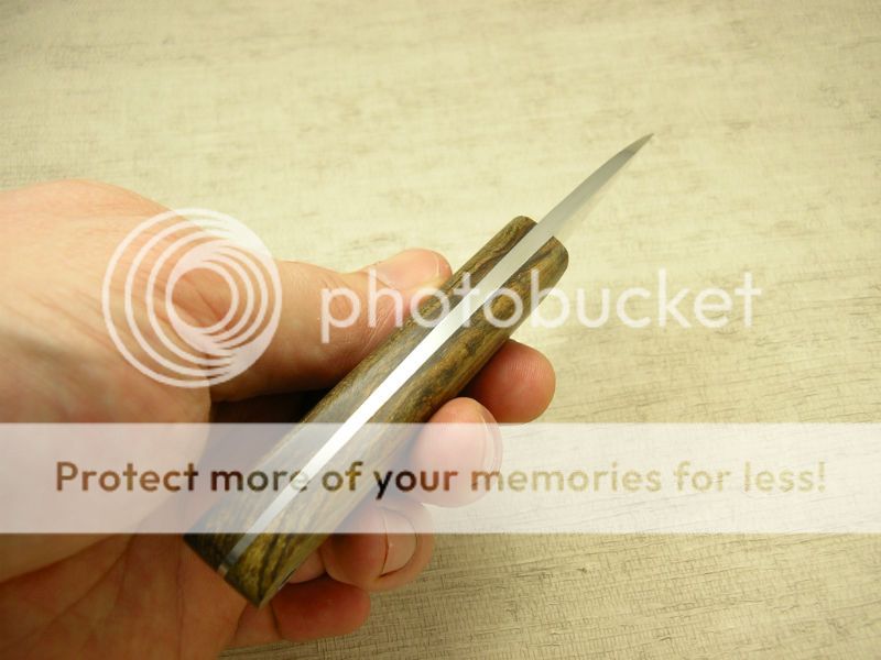 IMGP2048_zps6da40f64.jpg