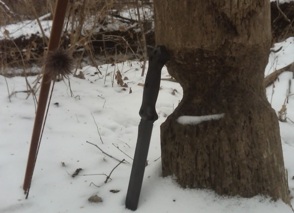 20110115_dc_03.jpg