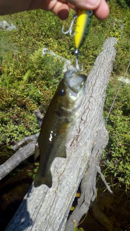 2011-09-10_15-31-26_765.jpg