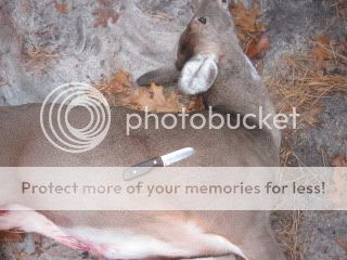IMG_2851.jpg