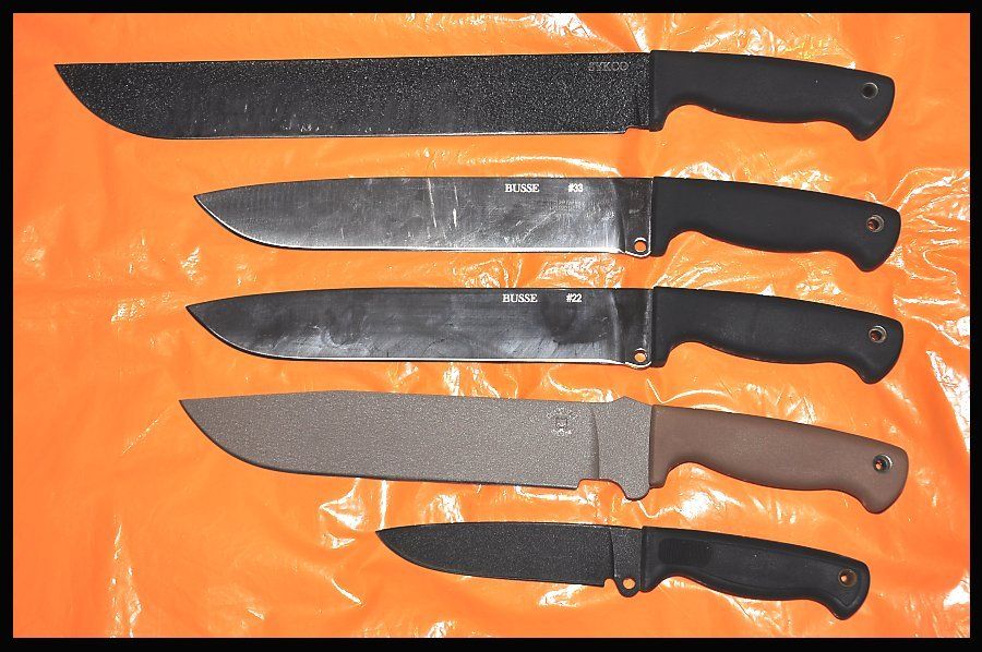5_busse_kin_zpseygeer8b.jpg