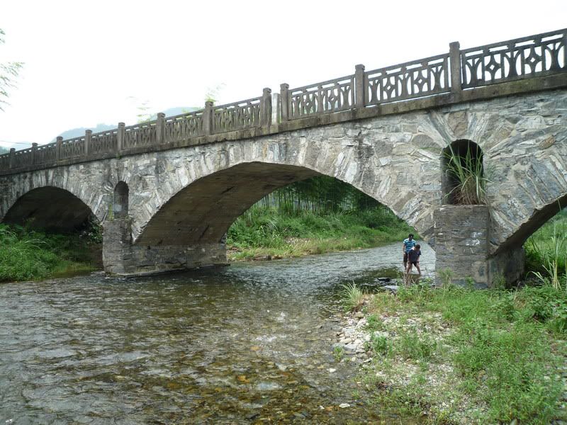 P1000953.jpg