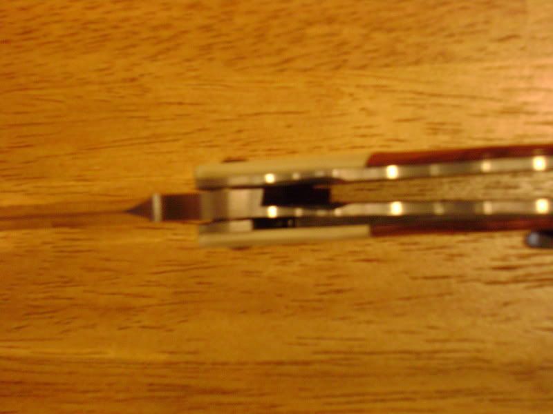 DSC00406.jpg