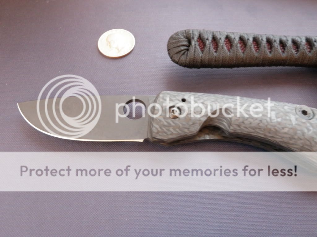 PC260253.jpg