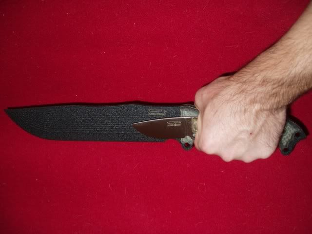 P1010064-1.jpg
