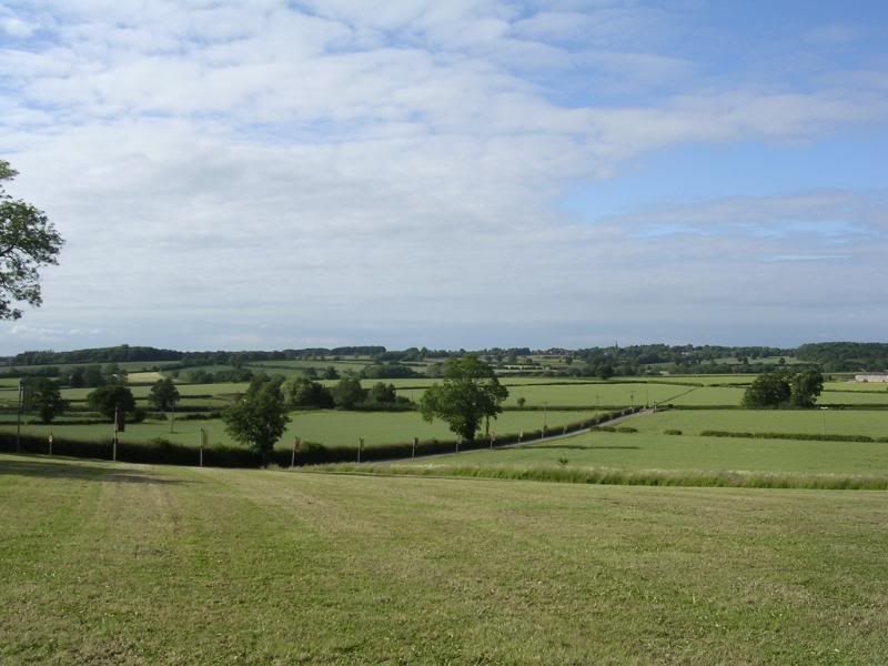 DSCN2308.jpg