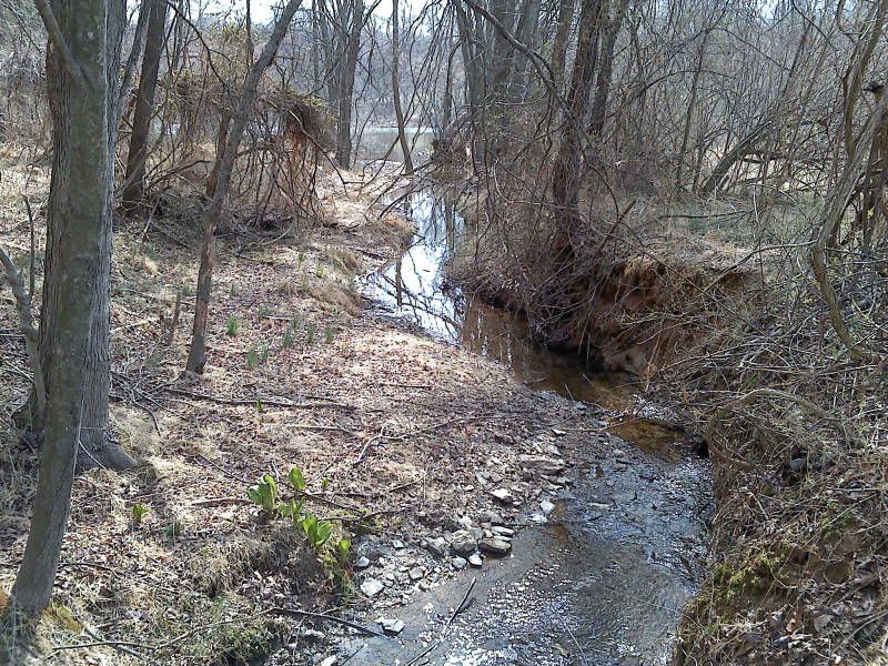 0325111120a.jpg