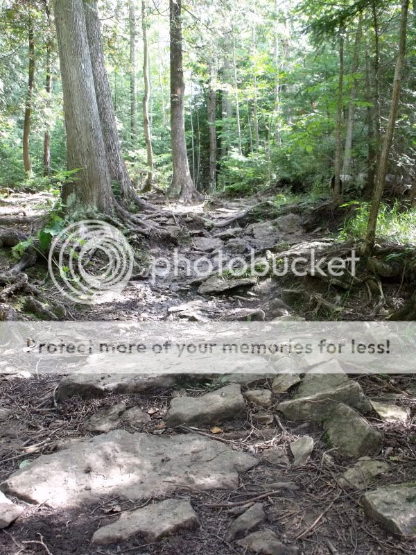 DSCF1173.jpg