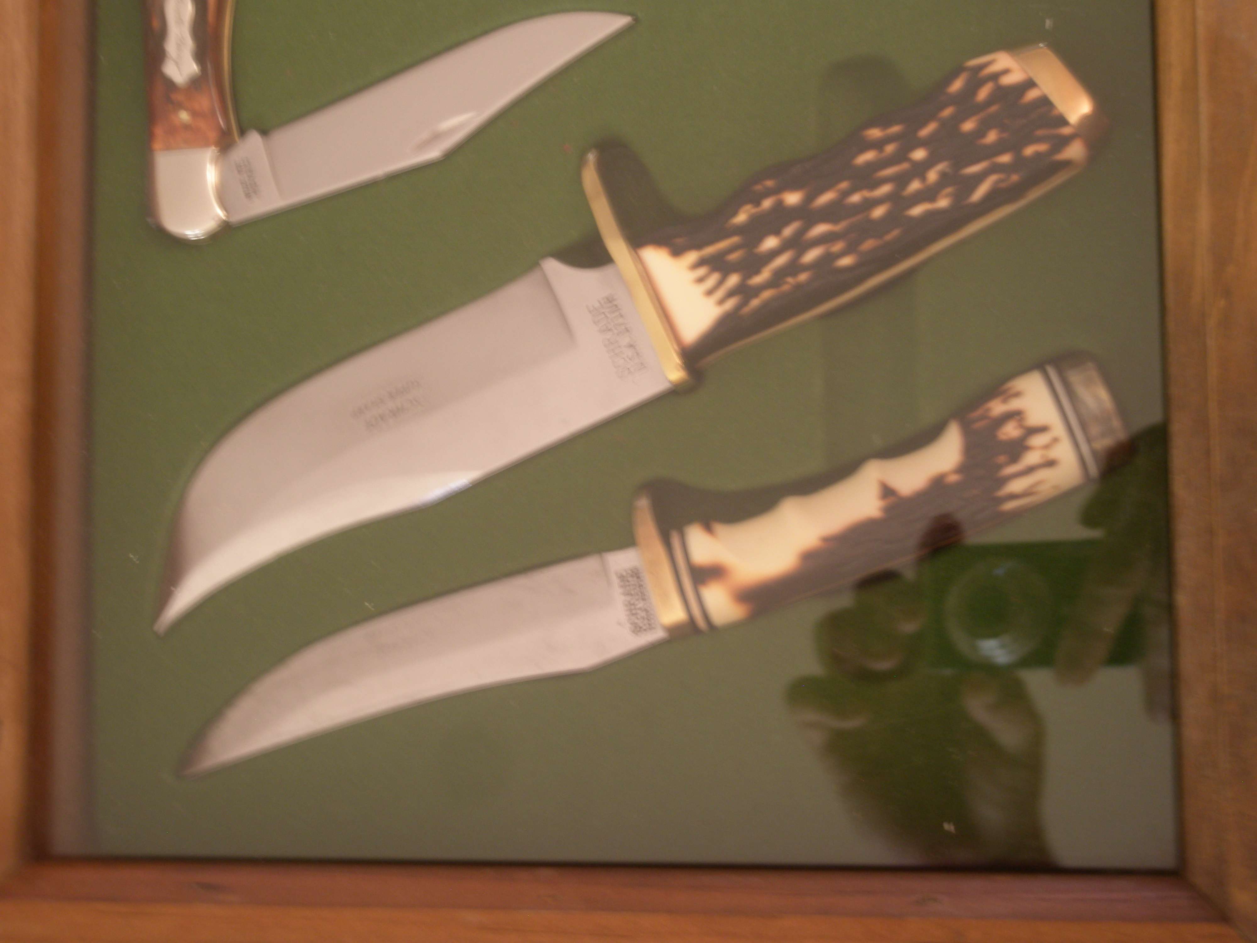 20110116greenuhdisp1711.jpg