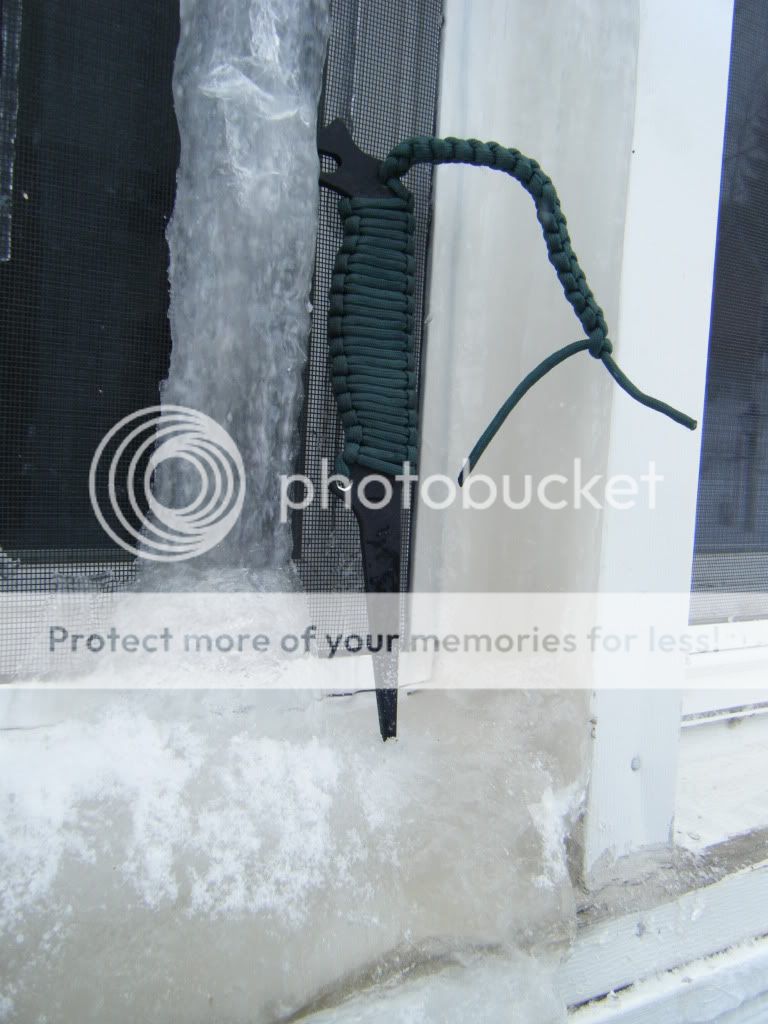 DSCF4635.jpg