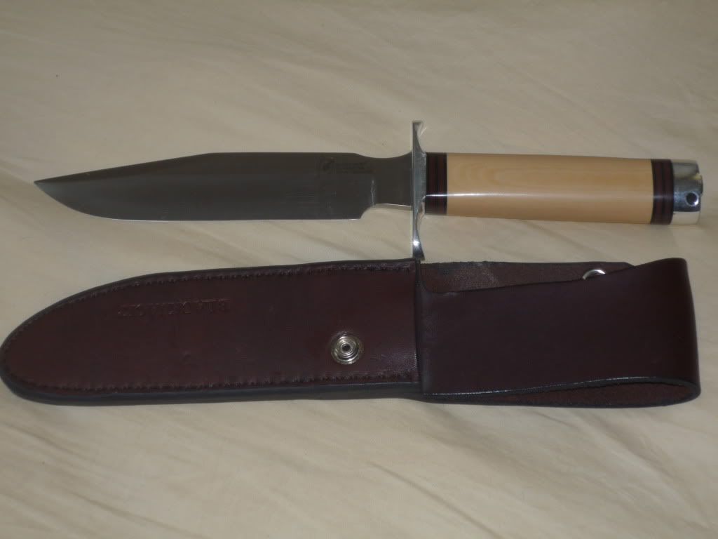 113.jpg