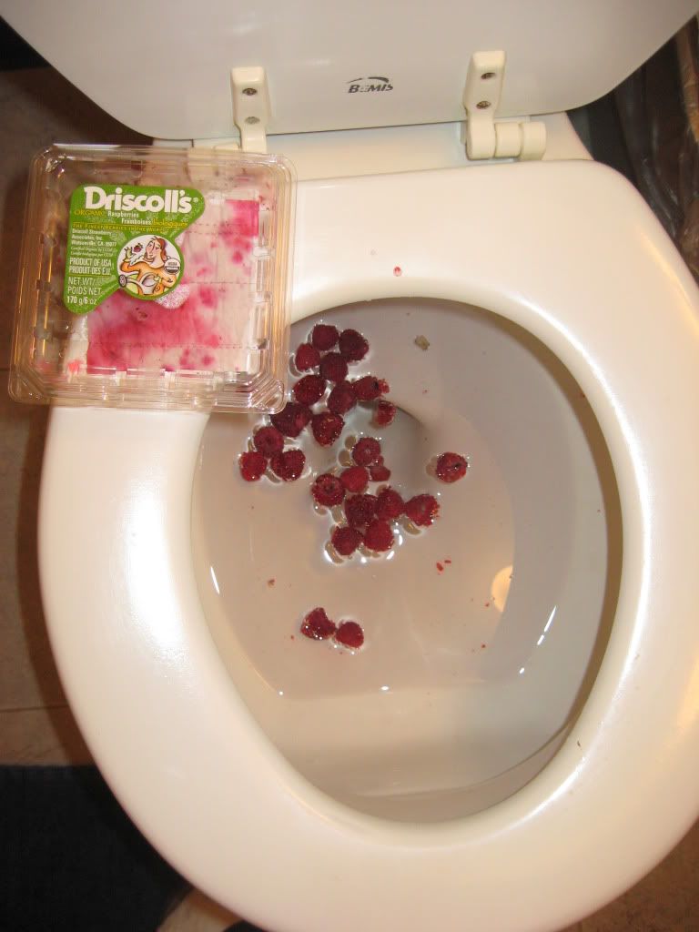 010.jpg
