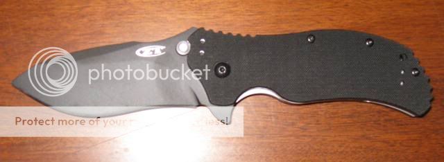 ZT0350.jpg