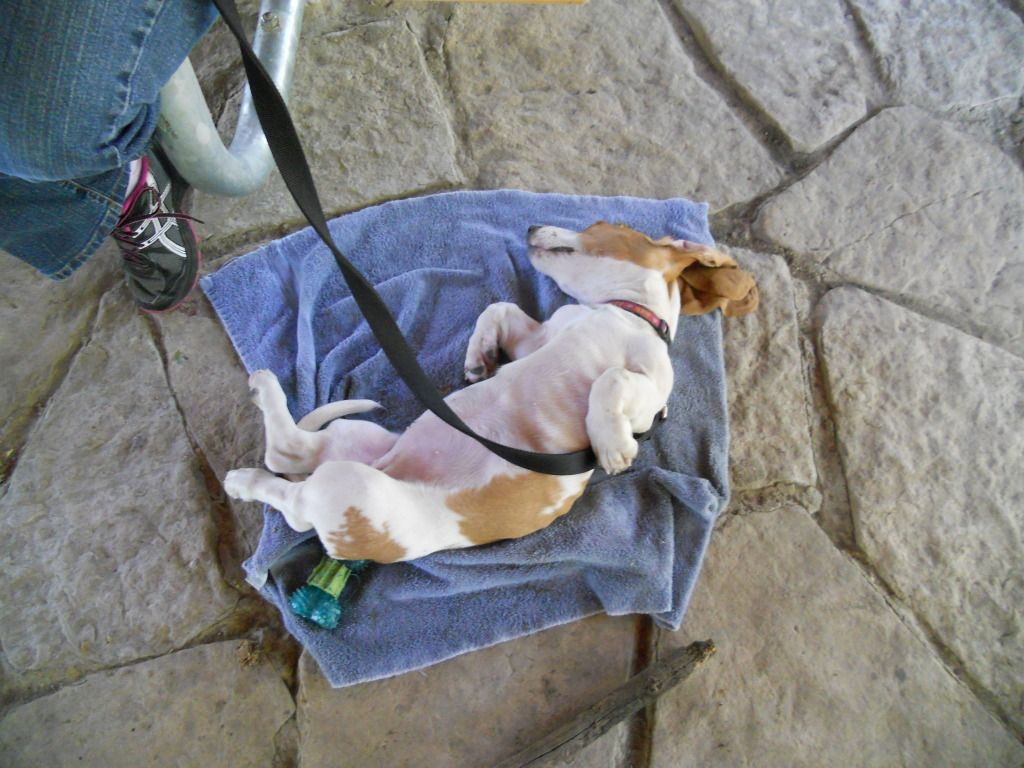 Gathering9-15-2012010.jpg