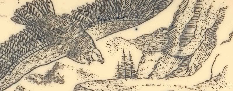 Buck500ScrimshawDetailgro.jpg