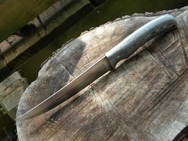 DSCN1655.jpg