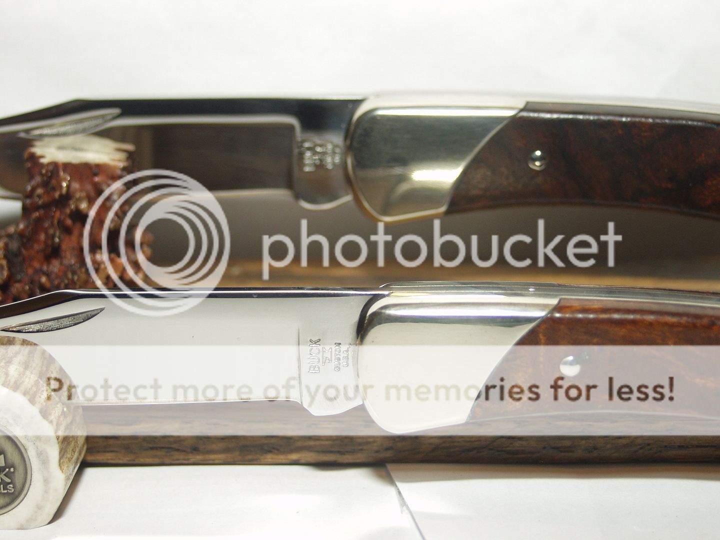 Misnumbered%20Buck%20111%20004_zpskcxhcdyk.jpg