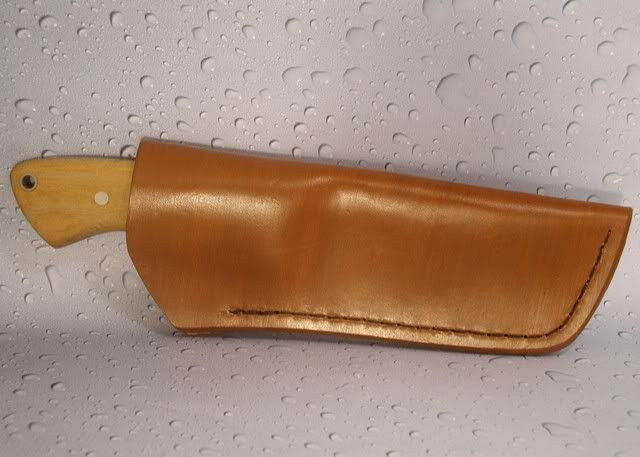 Image00006.jpg