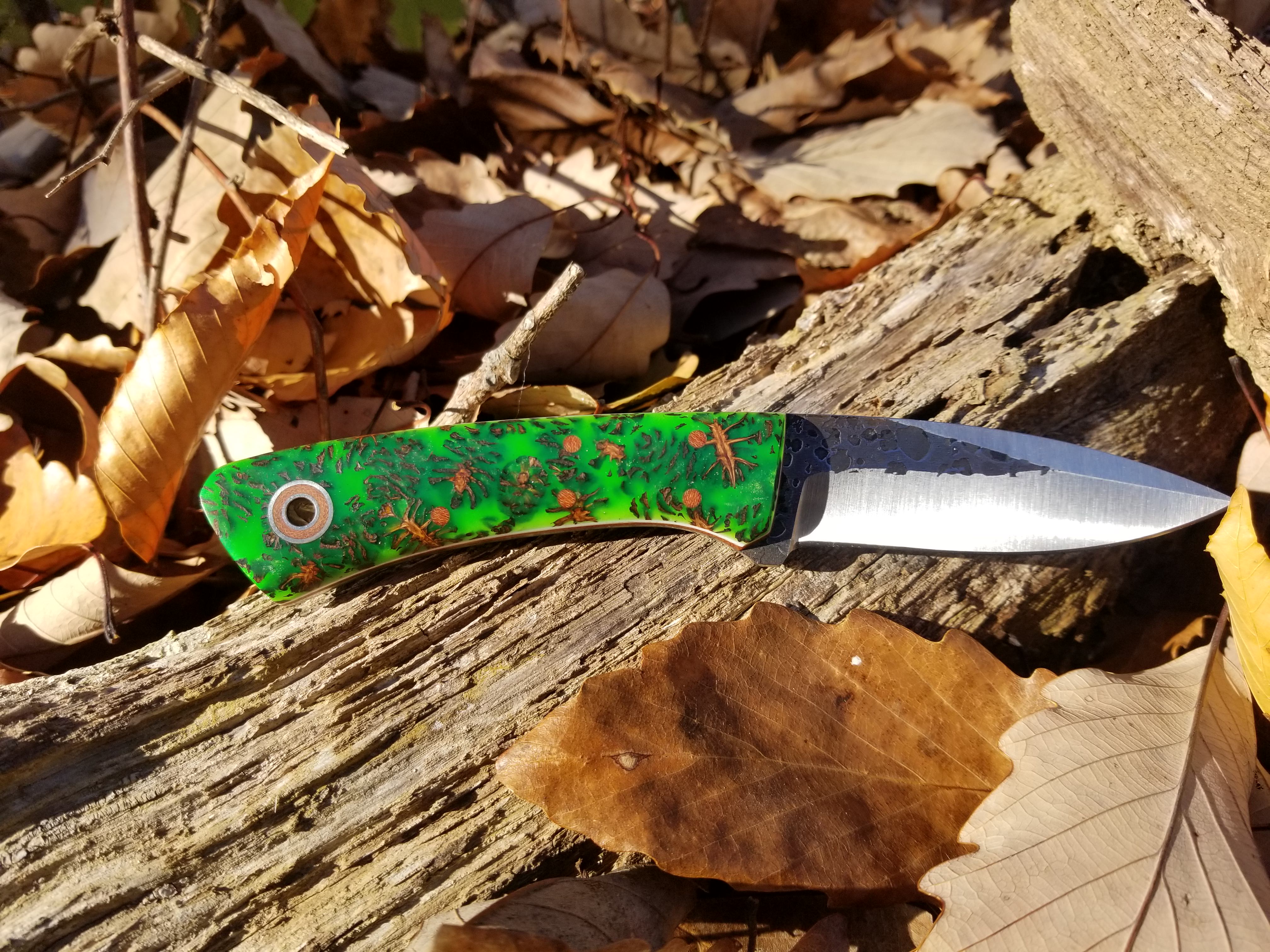 CocgX6T.jpg