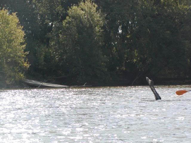9-10200759.jpg