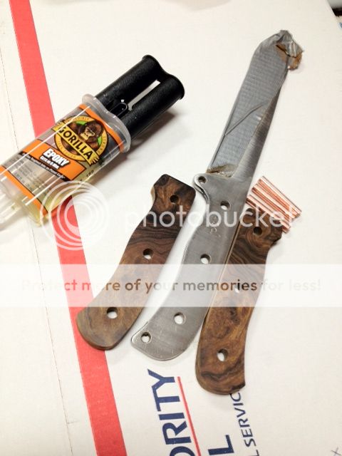 photoMA28152409-0011.jpg