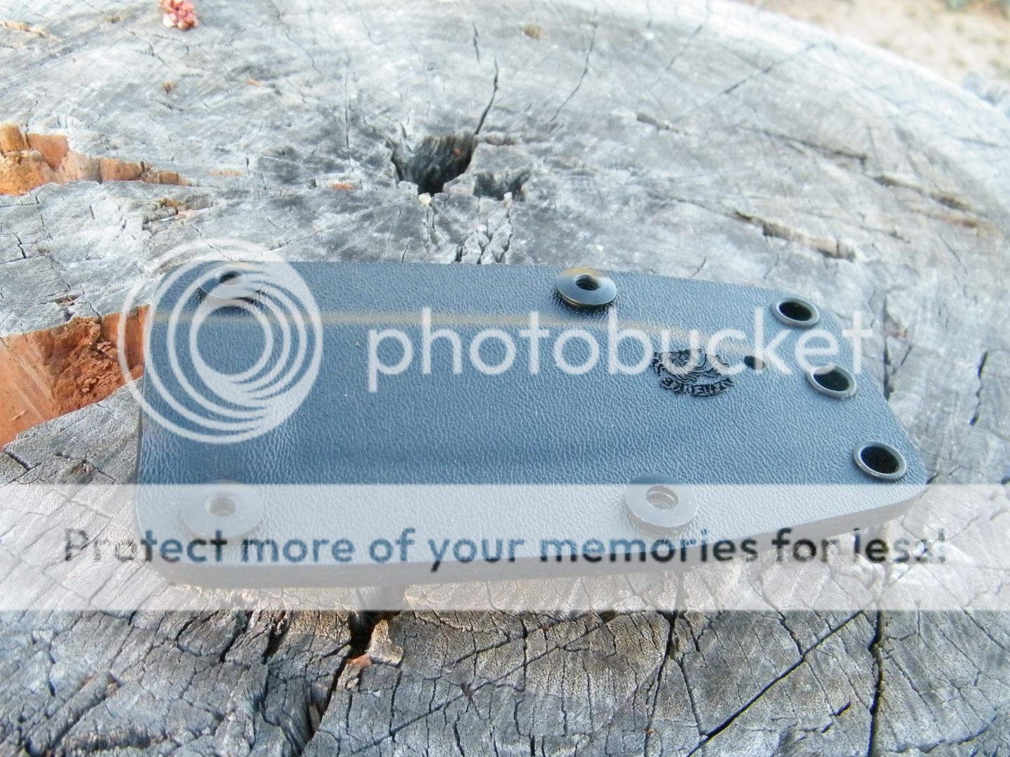 DSCF8158.jpg