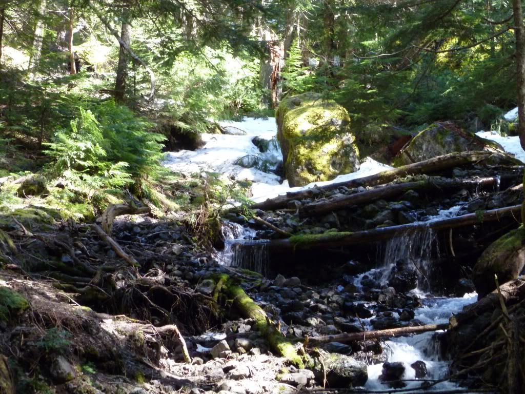 P1000310.jpg