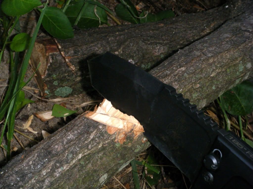 DSCF0959.jpg