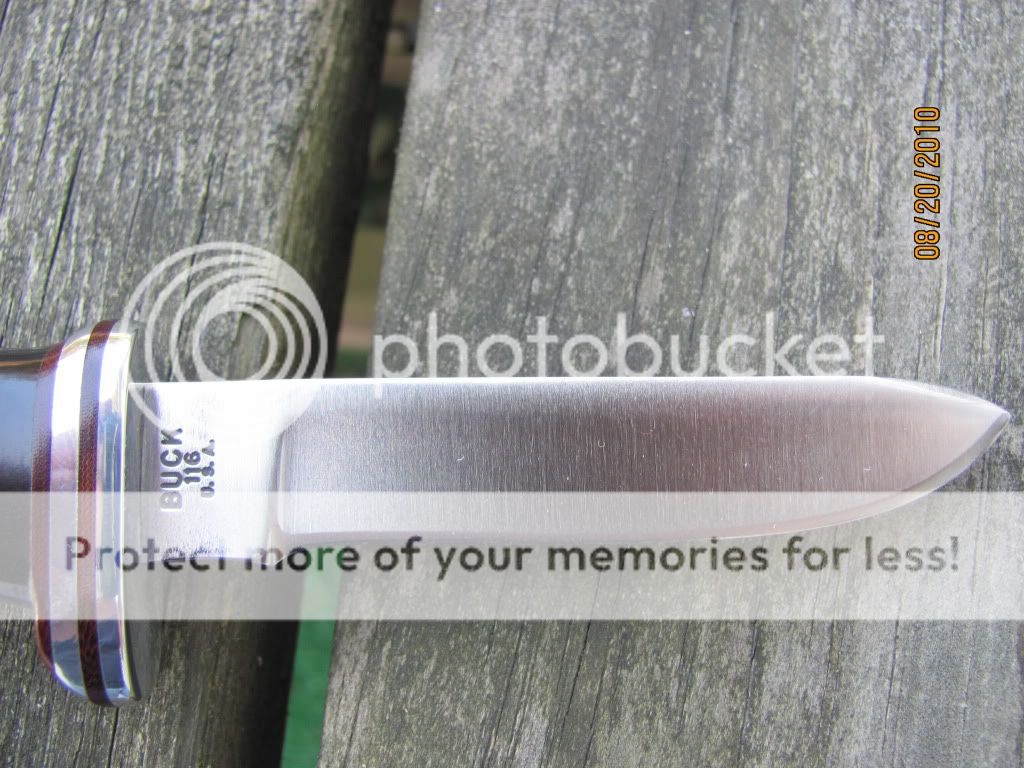 Picture004.jpg