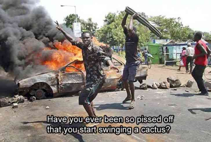 SouthAfricanangermanagementriotafri.jpg