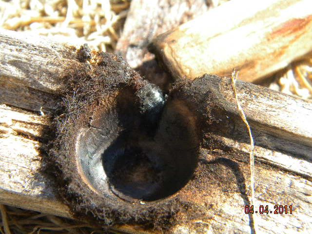 DSCN3586.jpg