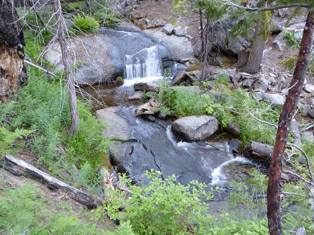 4789322956_9860b7cd29_b.jpg