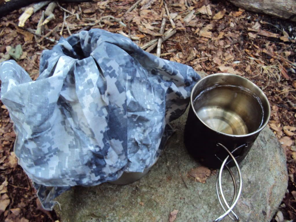 DSC00677.jpg