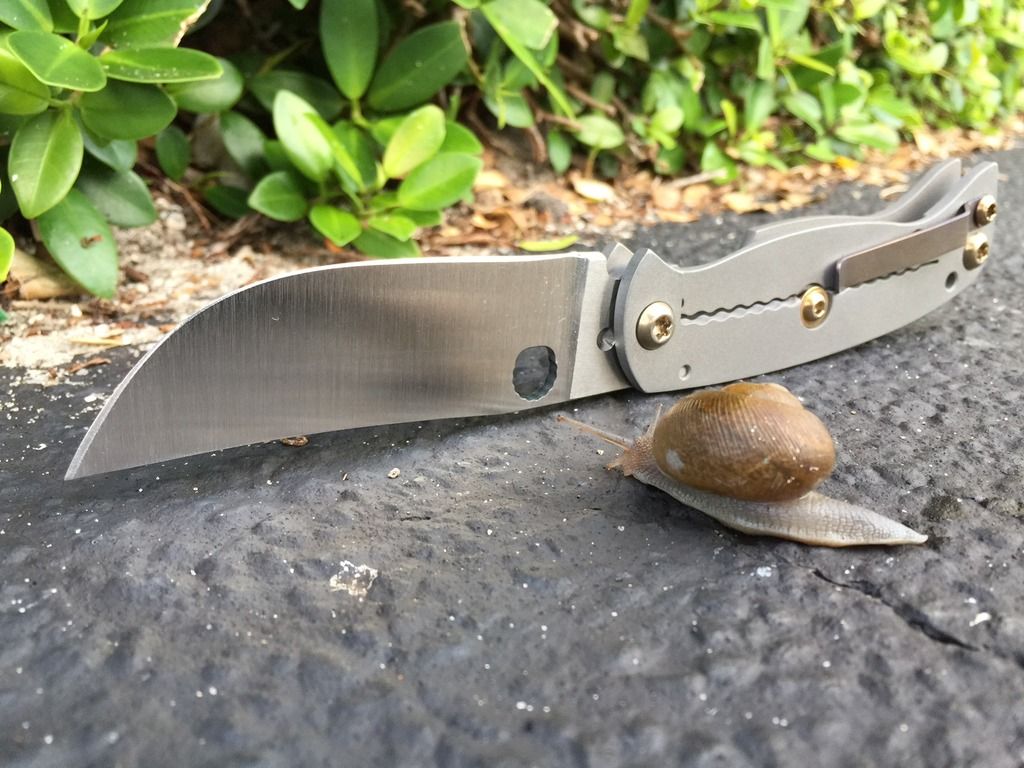 K2%20%20Snail_zpspzzok03o.jpg